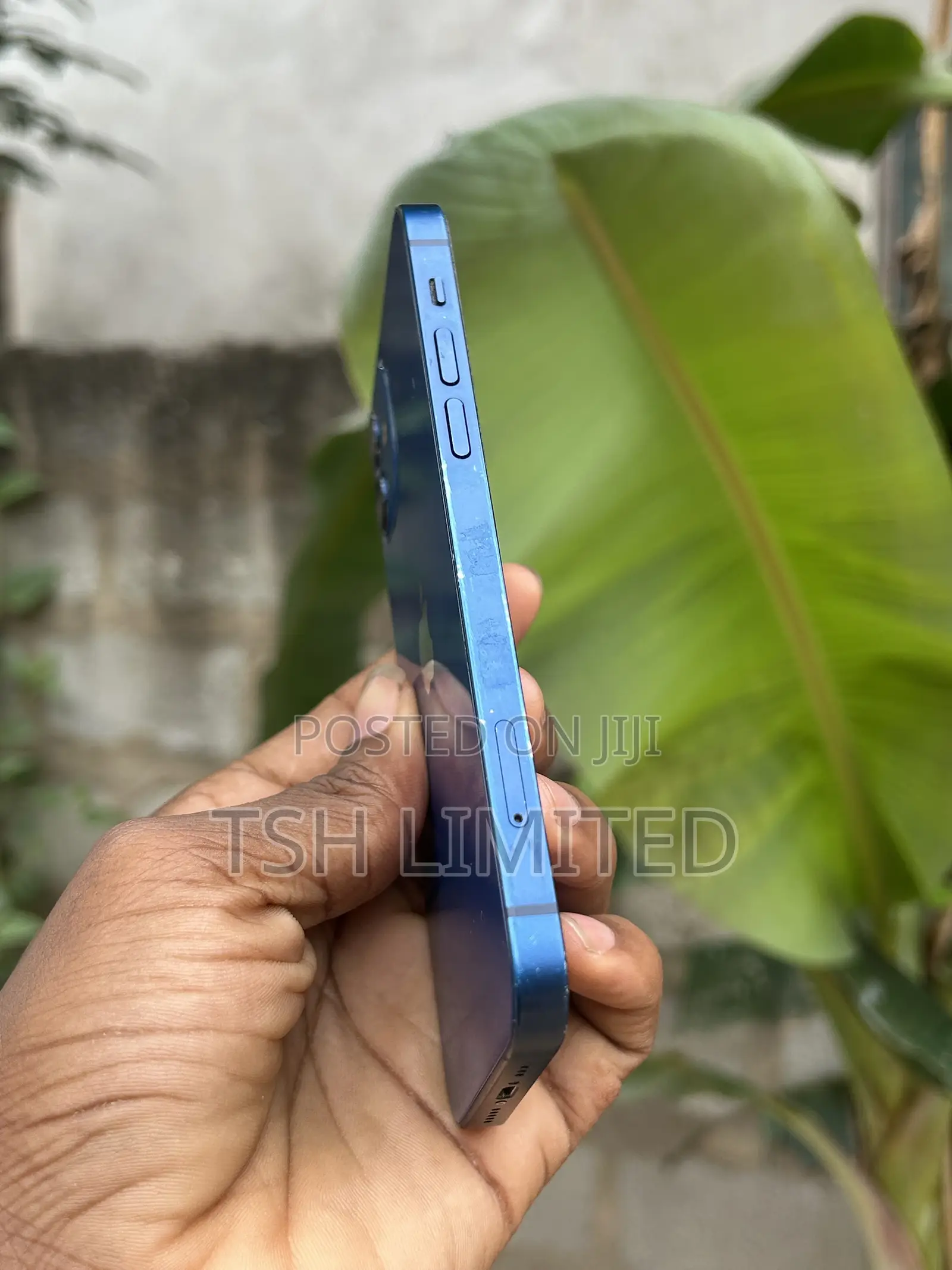 Apple iPhone 12 64 GB Blue