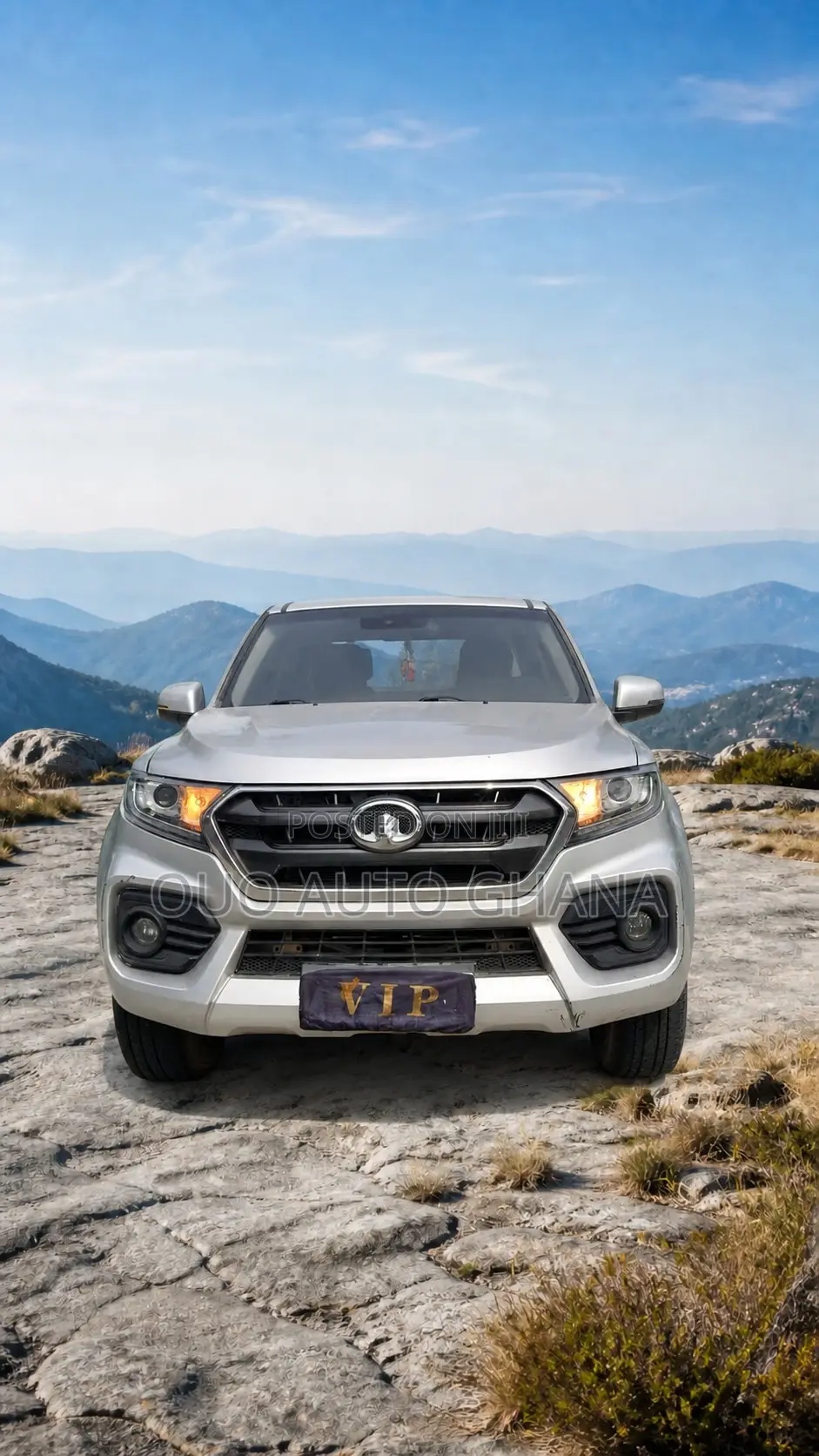 Great Wall Wingle 2020 Gray
