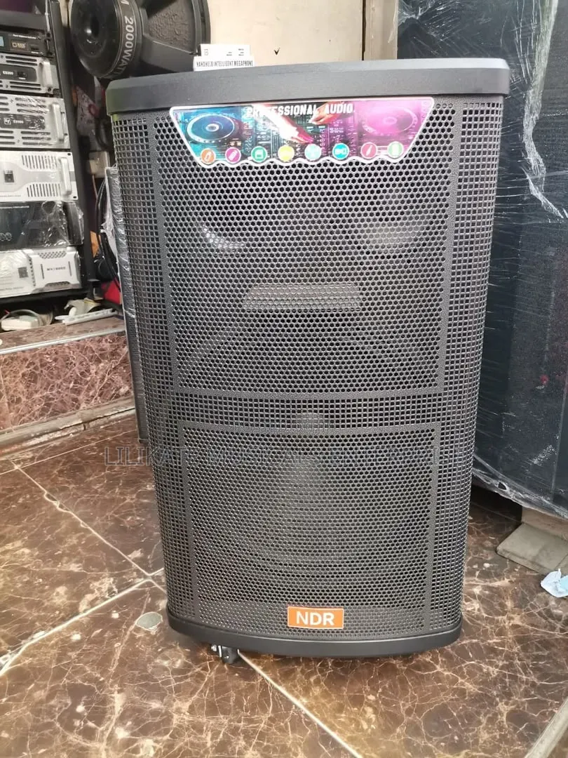 NDR 15'' Rechargeable Speaker