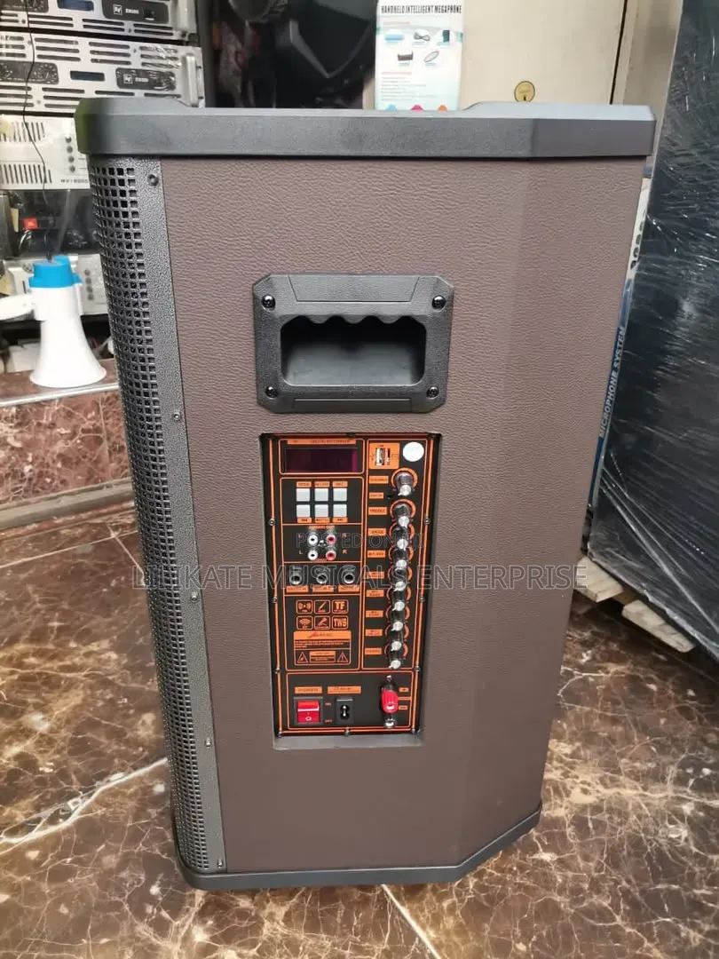 NDR 15'' Rechargeable Speaker
