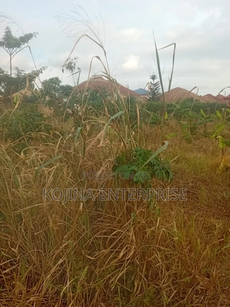 Double Residential Plots for Sale – Sokoban