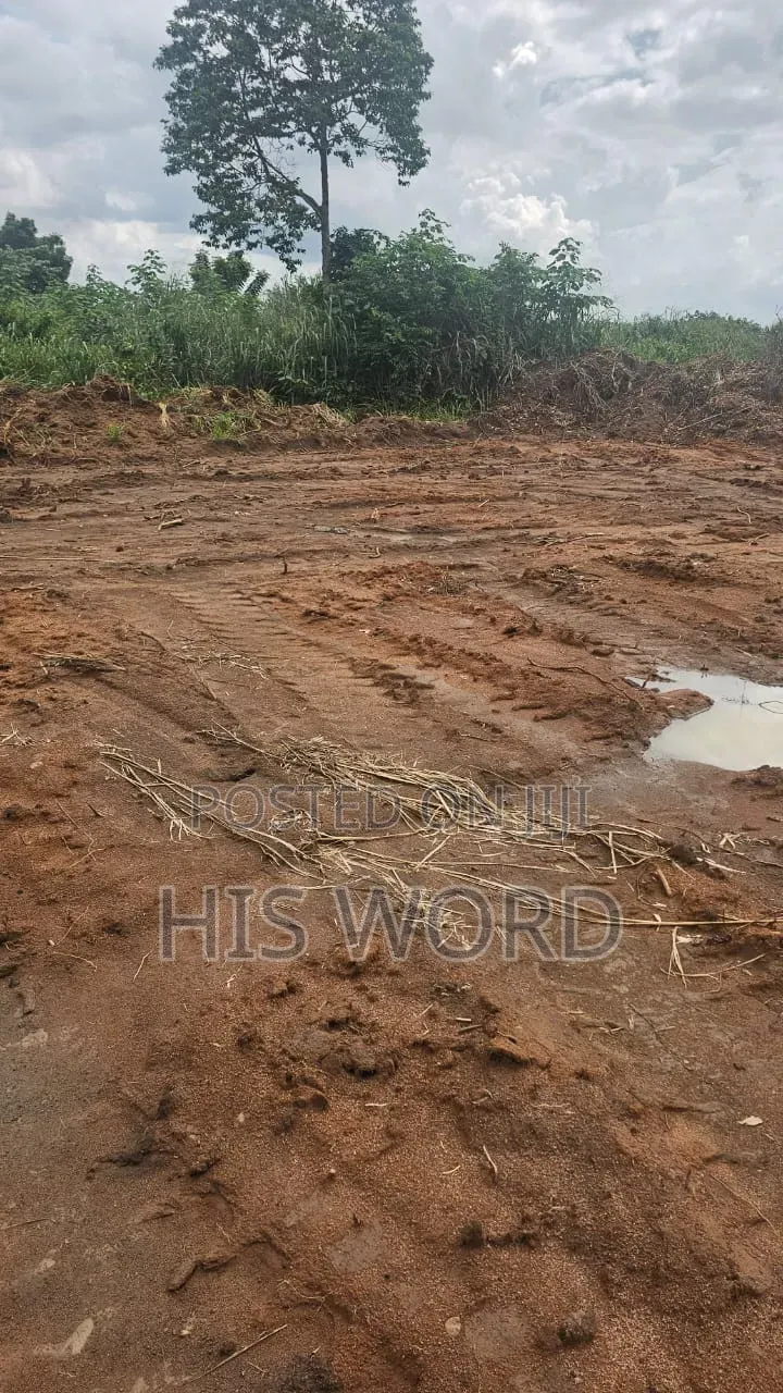 Land at Abuabugya