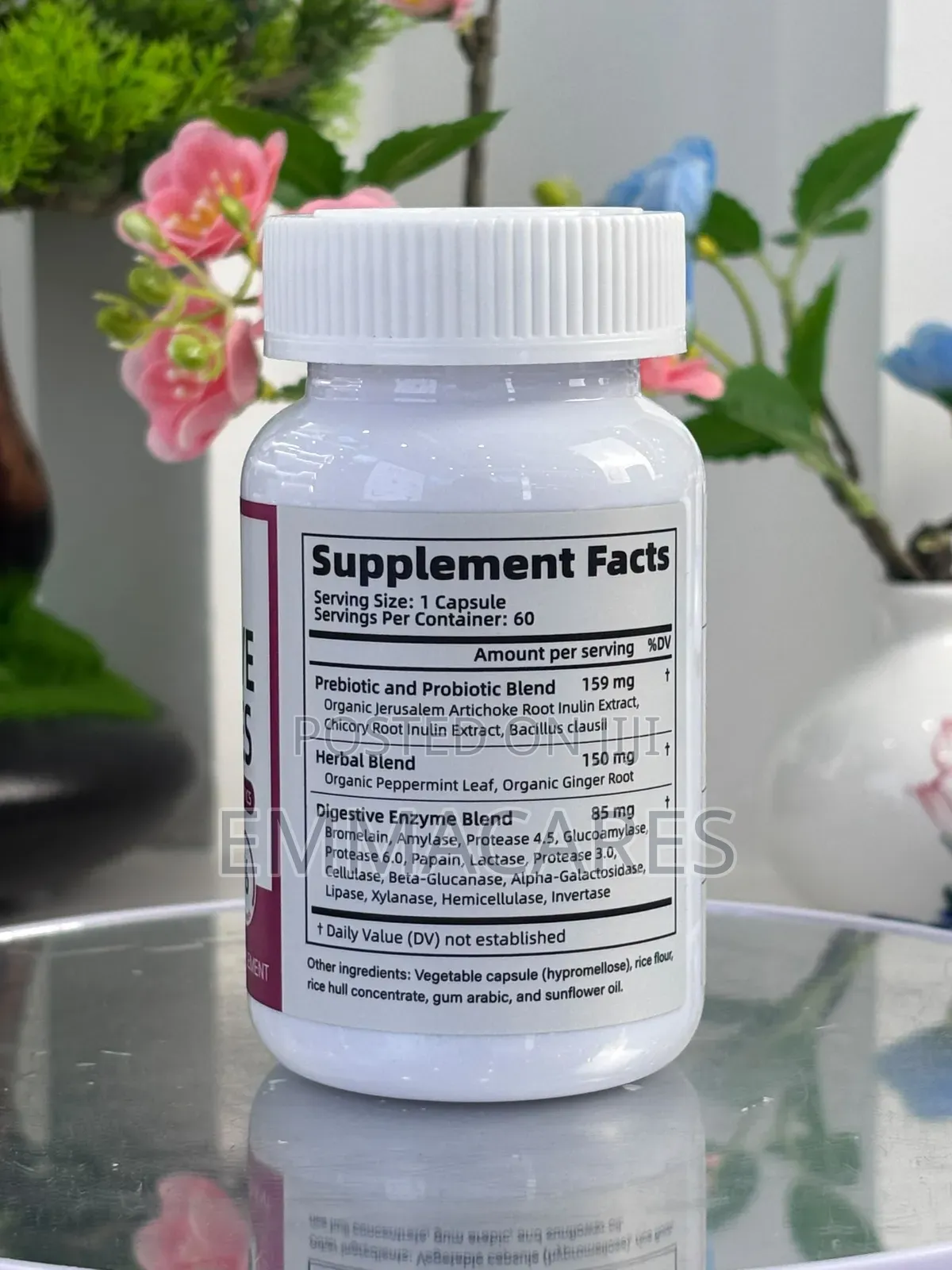 Digestive Enzymes and Probiotics
