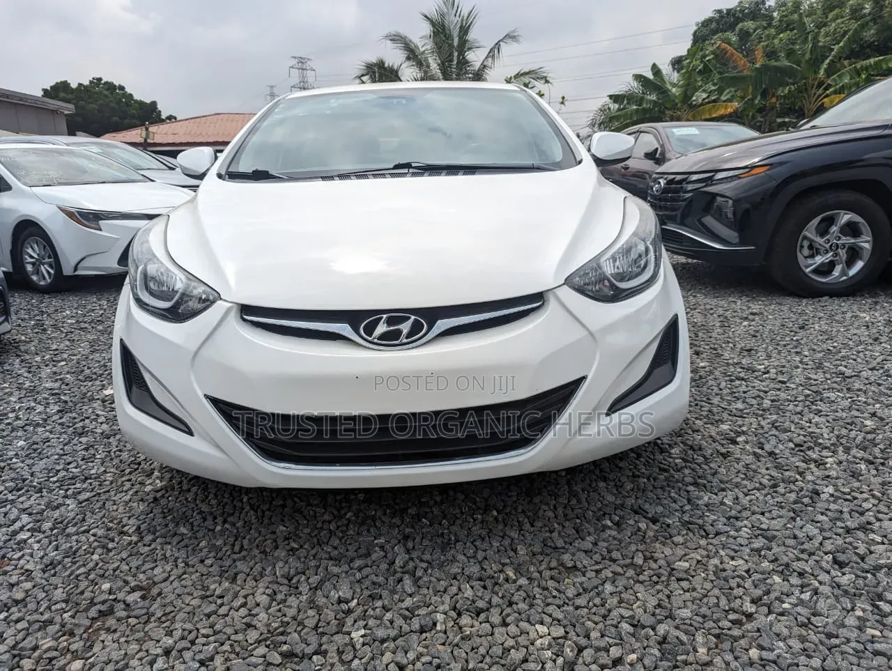 Hyundai Elantra Limited 4dr Sedan (1.8L 4cyl 6A) 2014 White