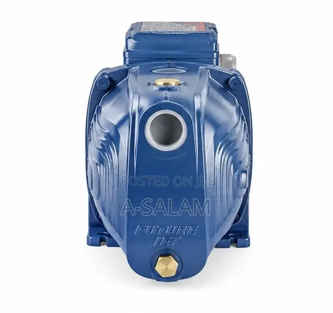 Pedrollo 1.5HP Surface Pump