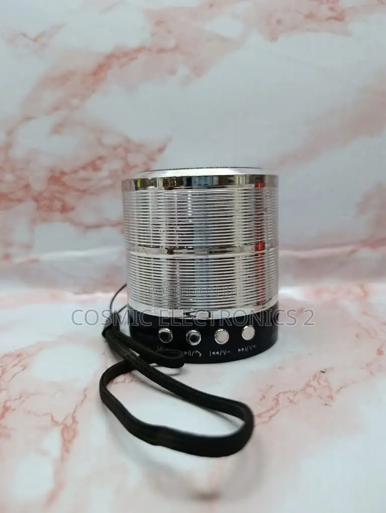 WS-887 Portable Wireless Bluetooth Mini Speaker