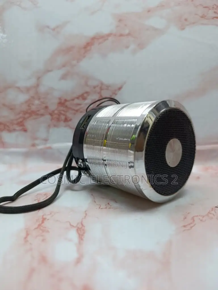WS-887 Portable Wireless Bluetooth Mini Speaker