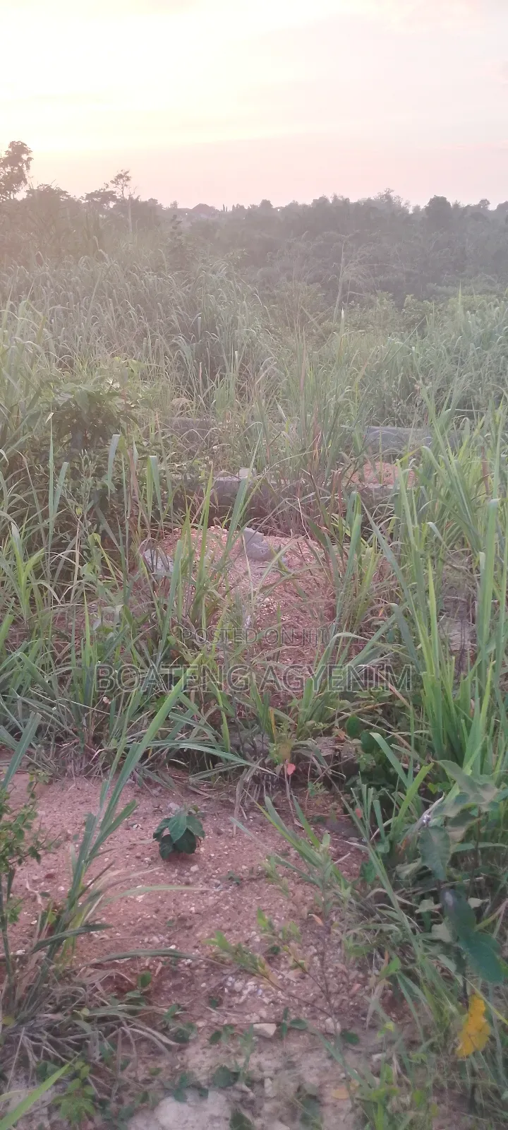 Half Plot With 3 BDRM Foundation, Sand Quarry Dust at Asonomaso SAFO
