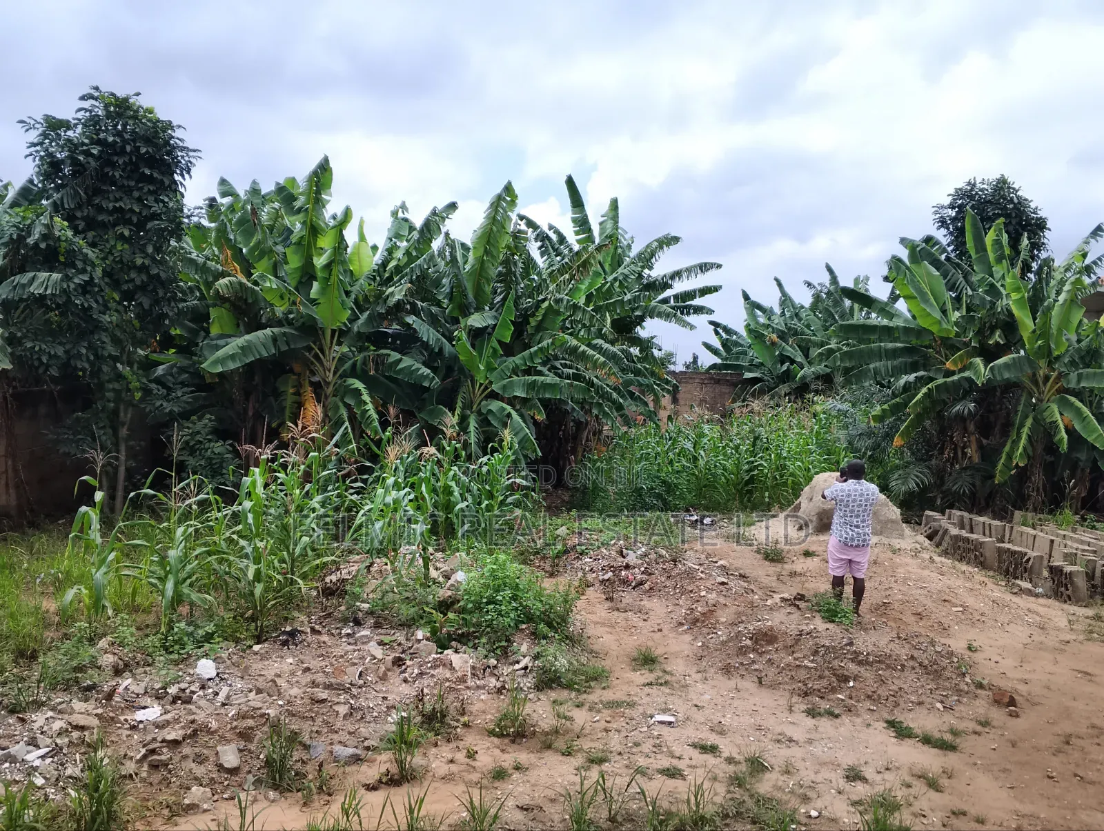 1 and Half Plots at Ofankor Asofan for Sale
