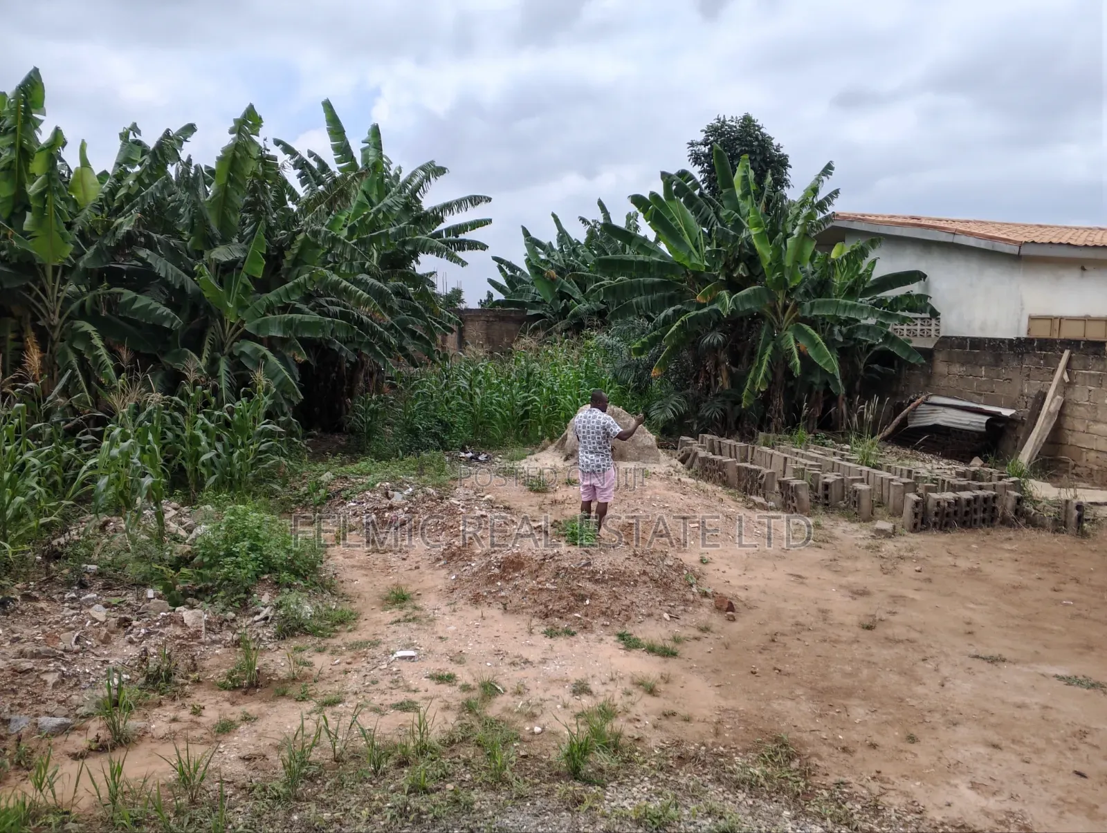 1 and Half Plots at Ofankor Asofan for Sale