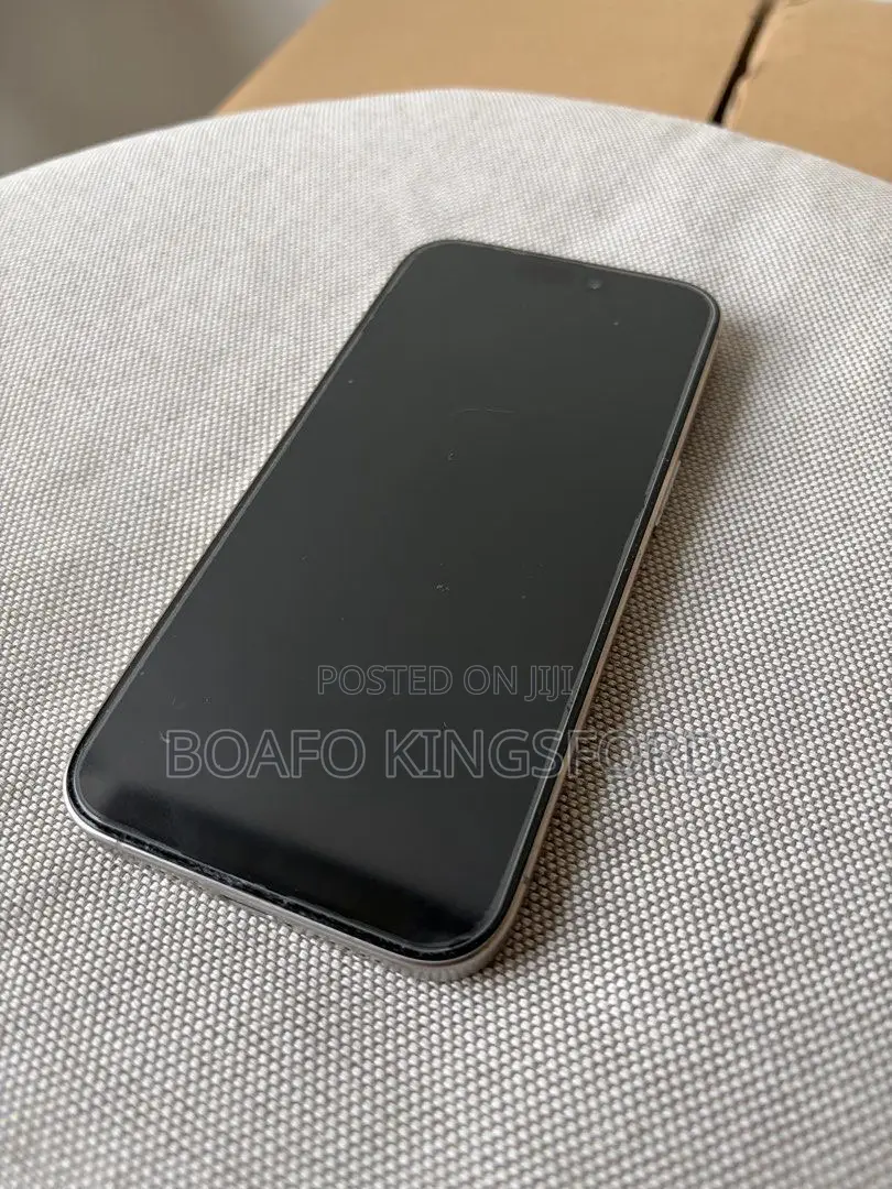 Apple iPhone 15 Pro Max 512 GB Silver
