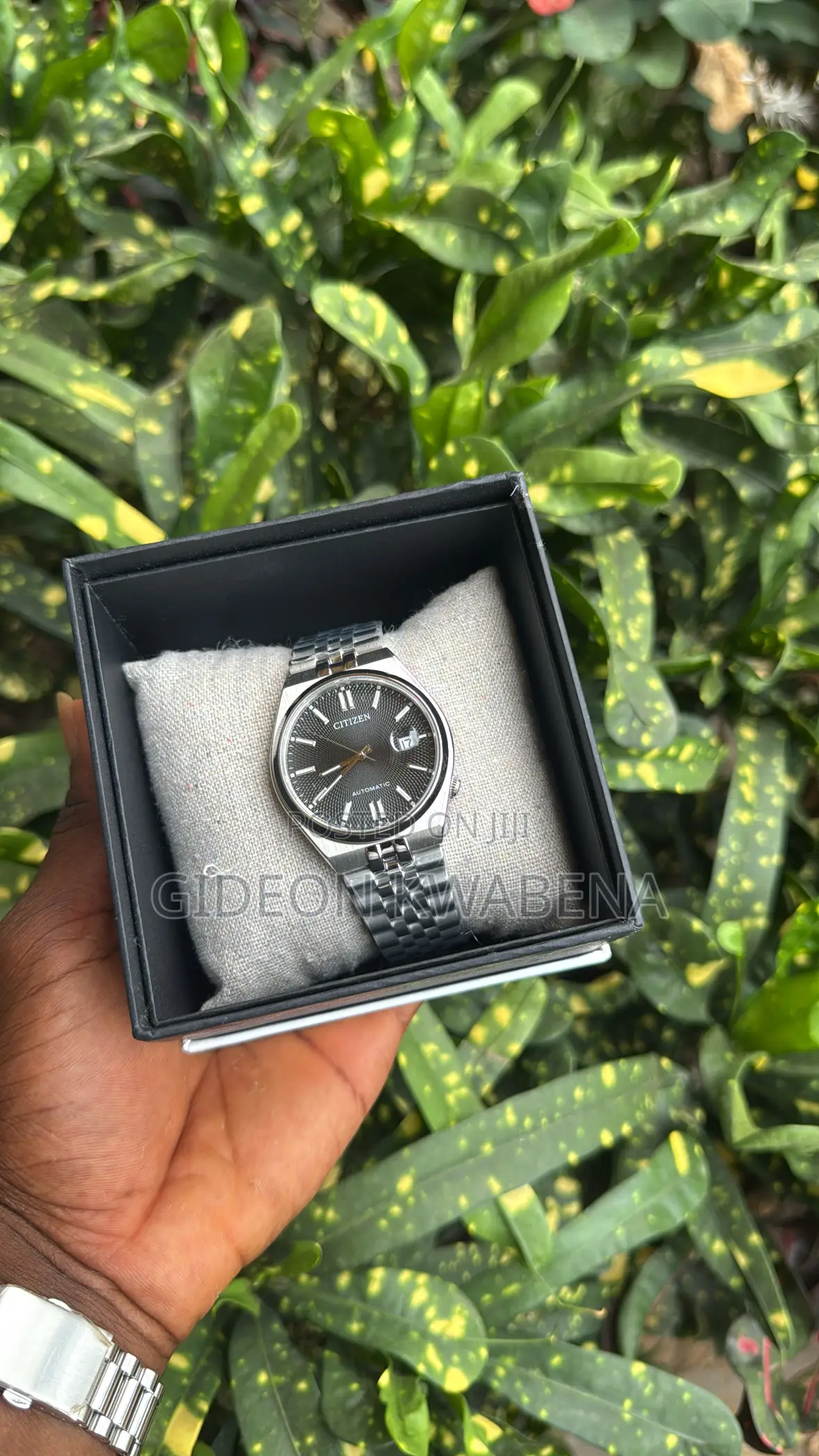 Citizen Tsuyosa 2025
