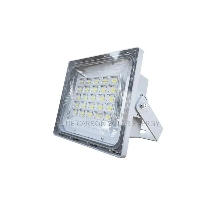 BCT- Wawa 6.0 Street Lights