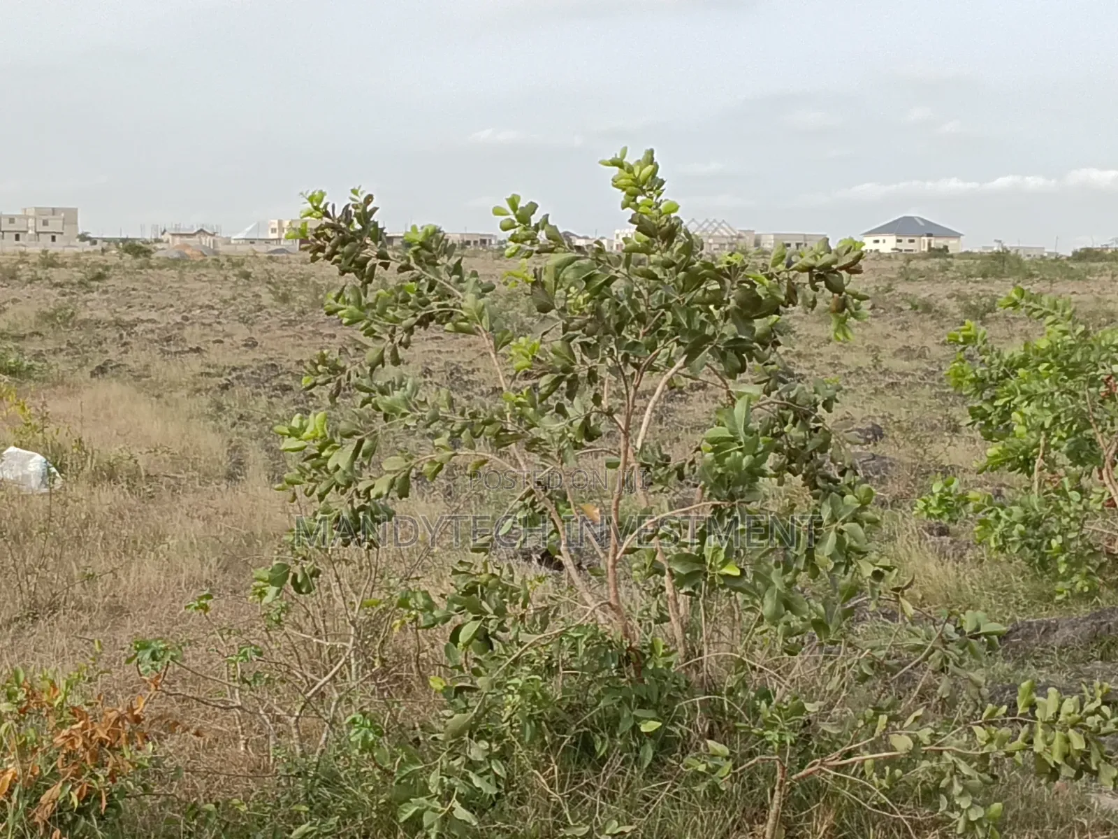 Your Dream Land at Prime Location