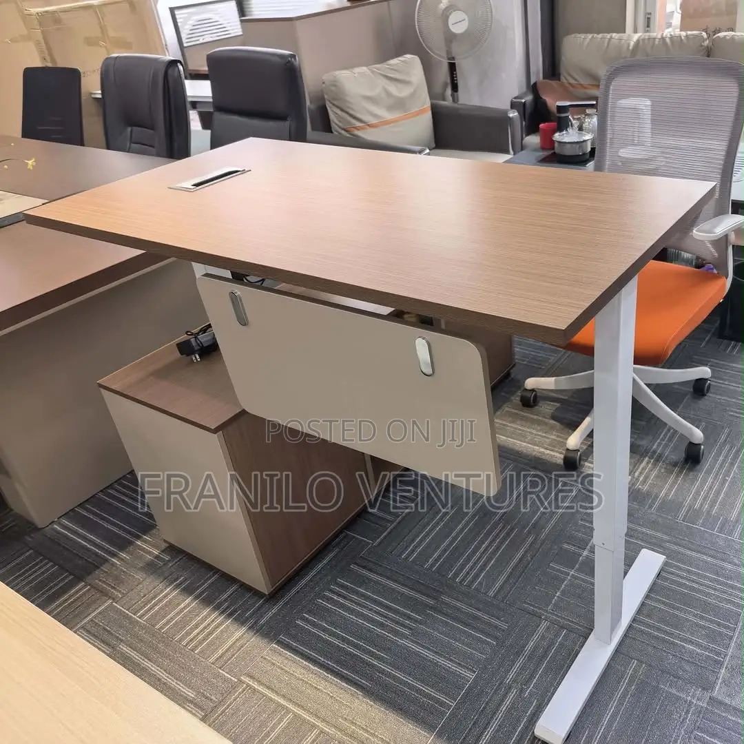 Electric Height Adjustable Desk With Storage Cabinet