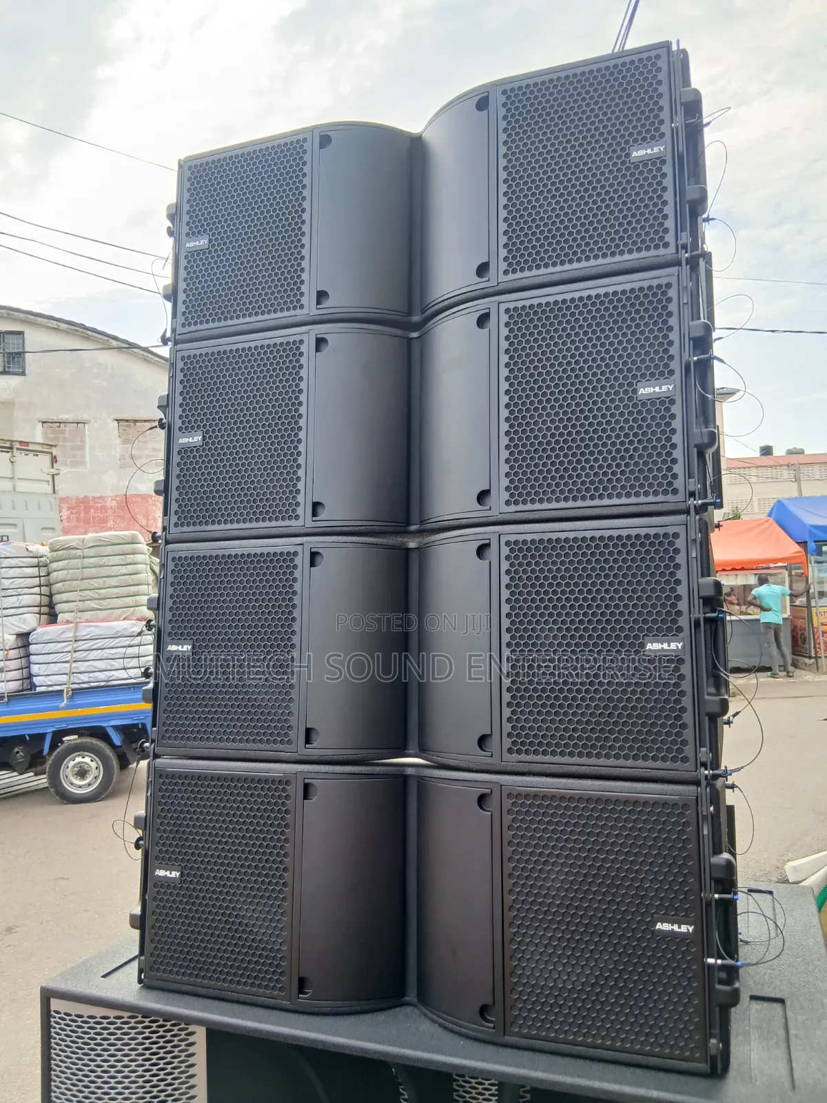 Ashley Line Array Speaker 10 Inches