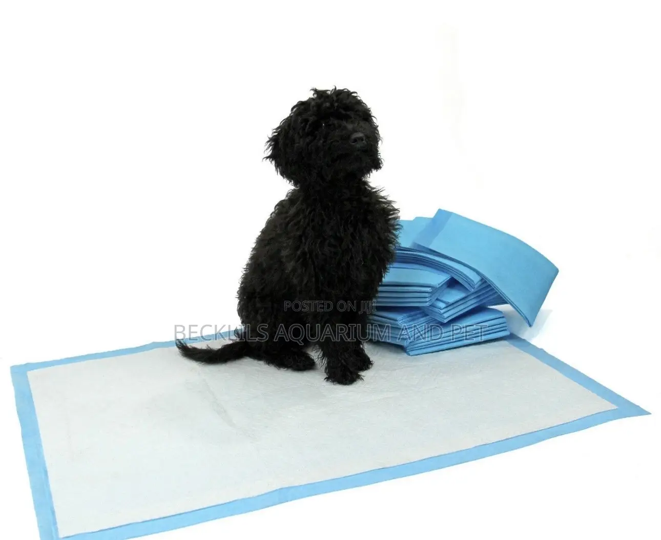 Ismart Puppy Training Pads