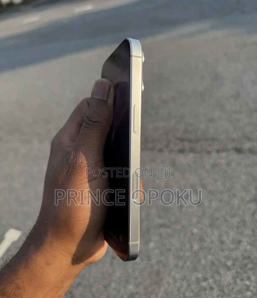 Apple iPhone 16 Pro Max 256 GB Gray