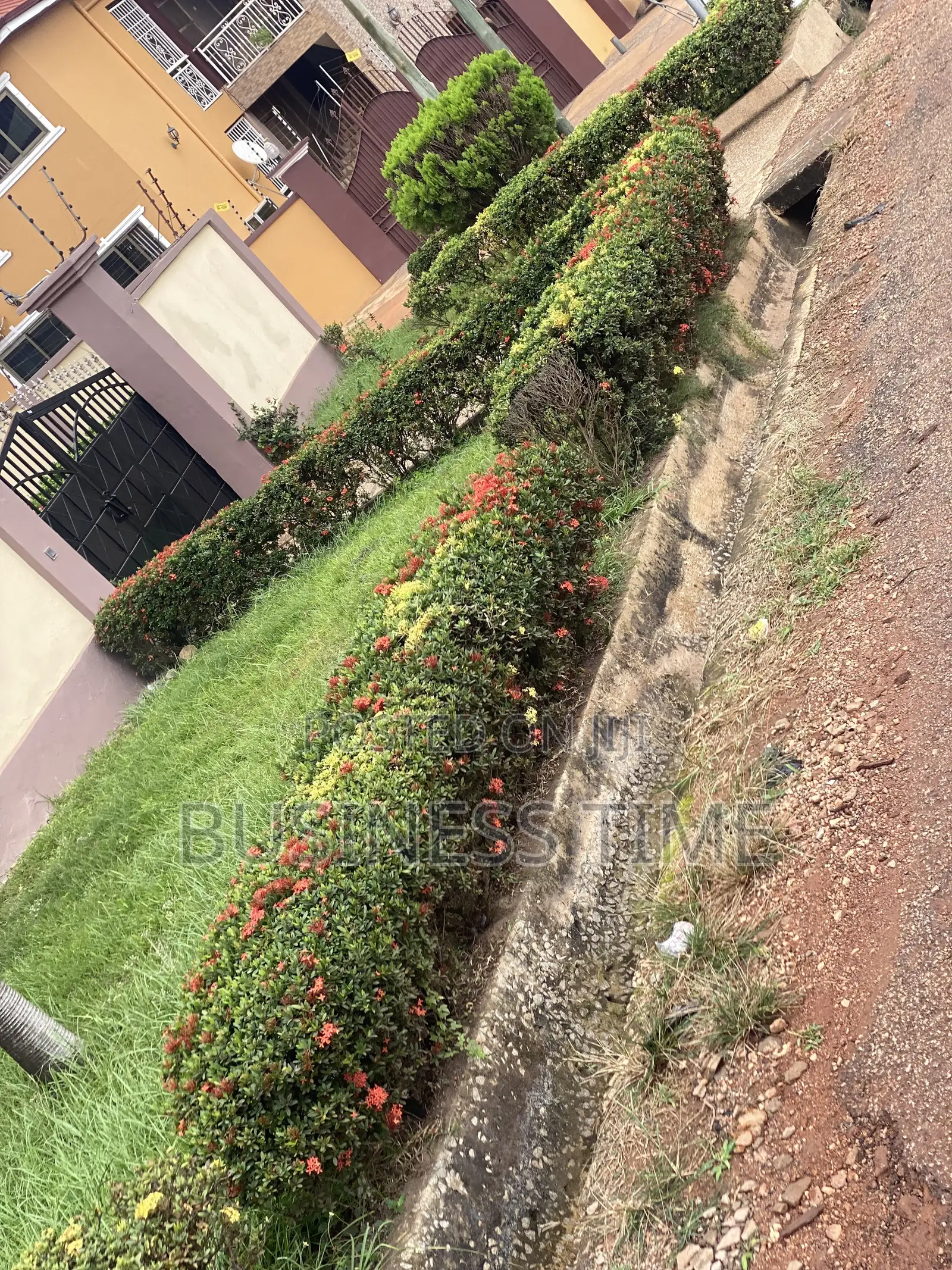 Garden, Planning Flowers and Green Grass