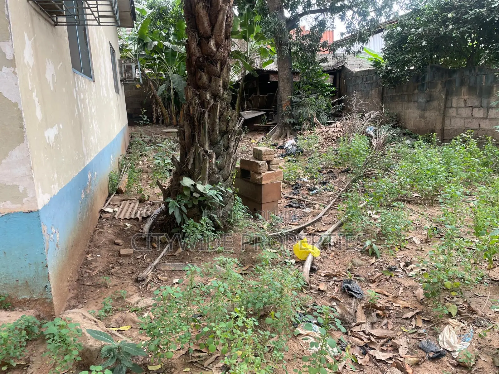 Large Plot for Development