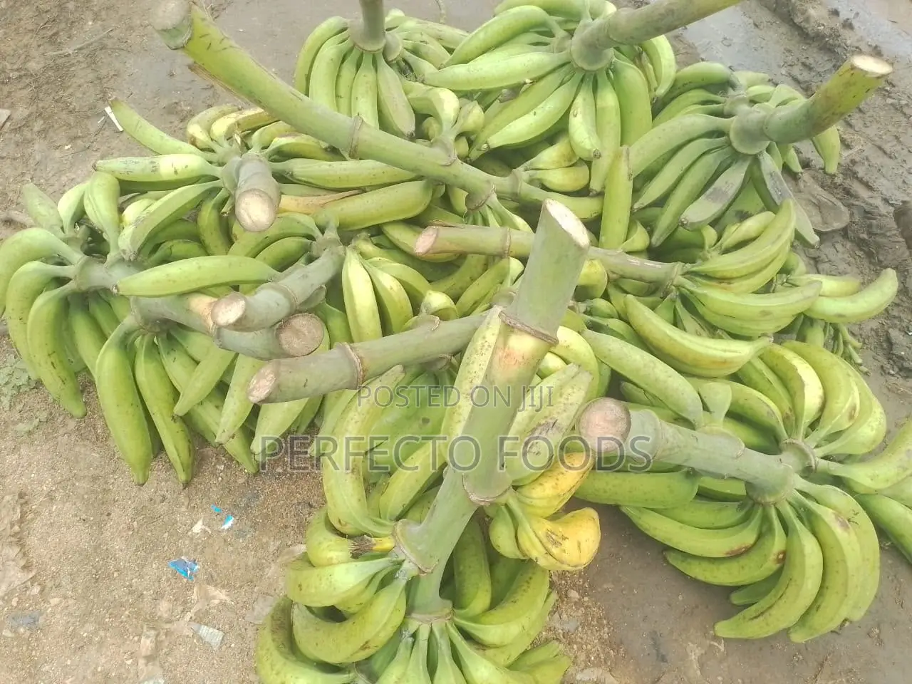 Village Fresh Plantain