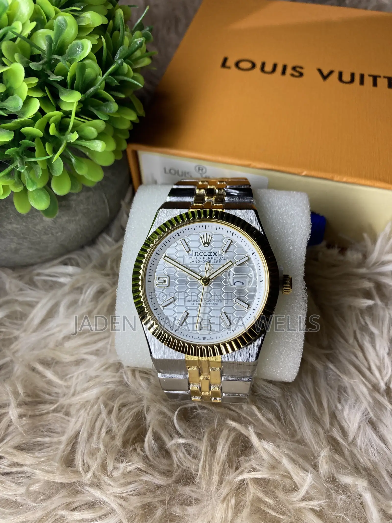 Rolex Land Dweller 2026