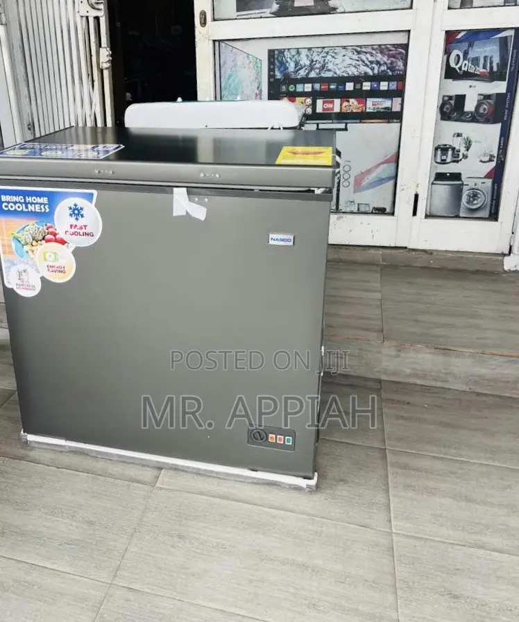 Unique Nasco Nas250fl Single Door Electric Chest(Gray)198L