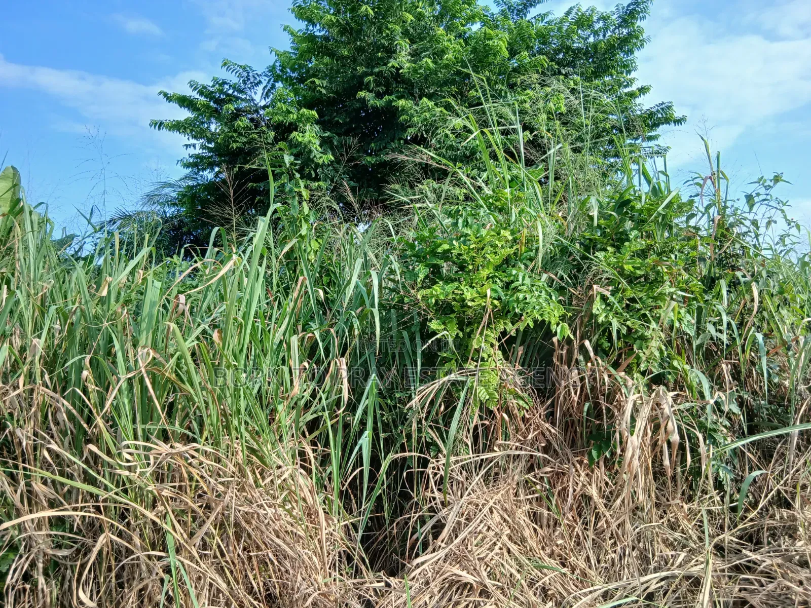 Full Plot of Land for Sale