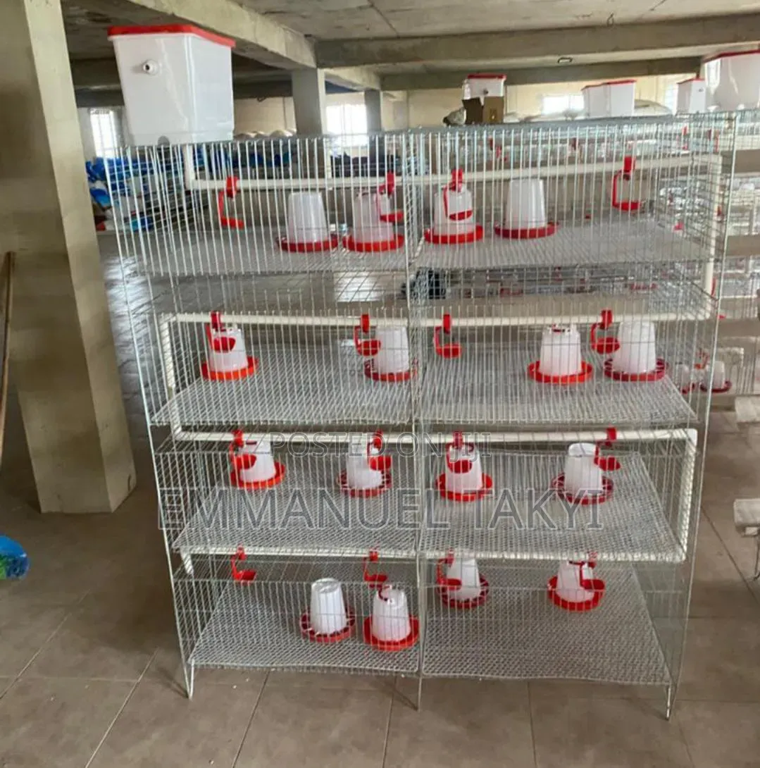 Day Old Cages
