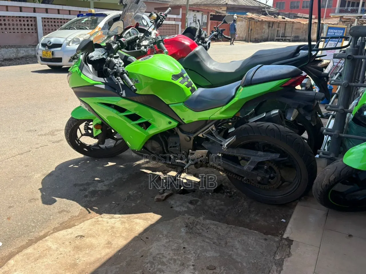 Kawasaki Ninja 300 2019 Green