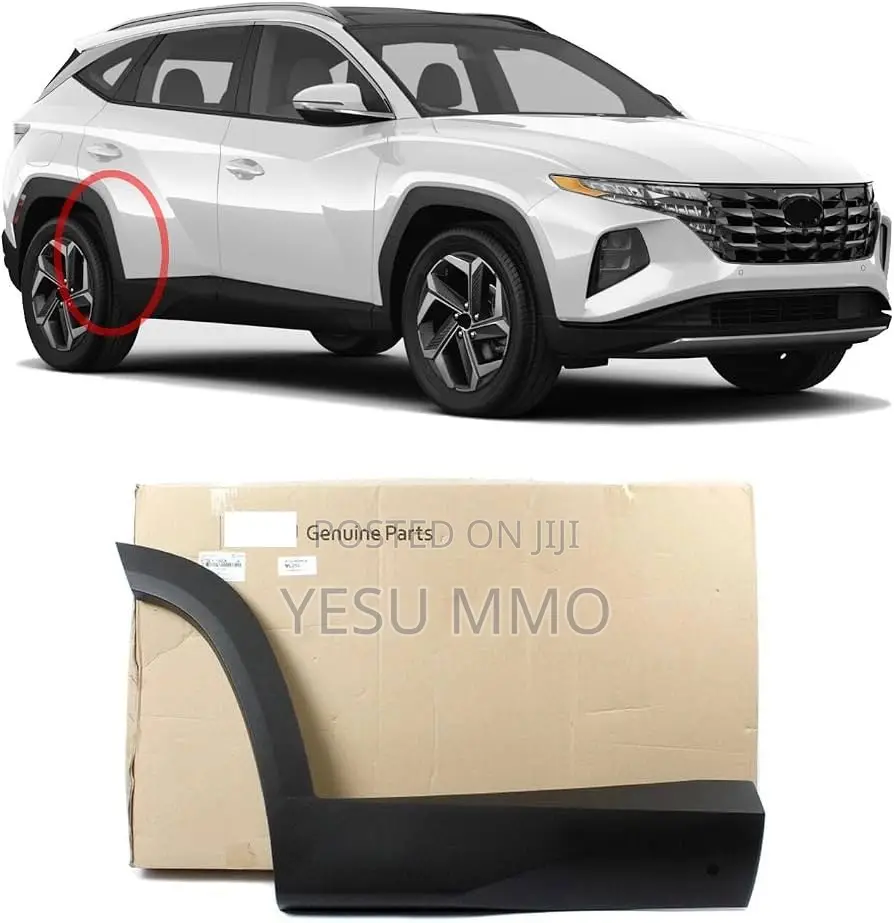 Hyundai Tucson 2024 Door Moulding