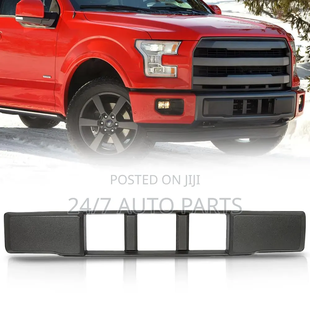 Ford F150 2015 - 2017 Front Bumper Lower Grill