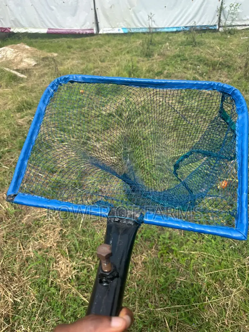 Scoop-Net for Fish