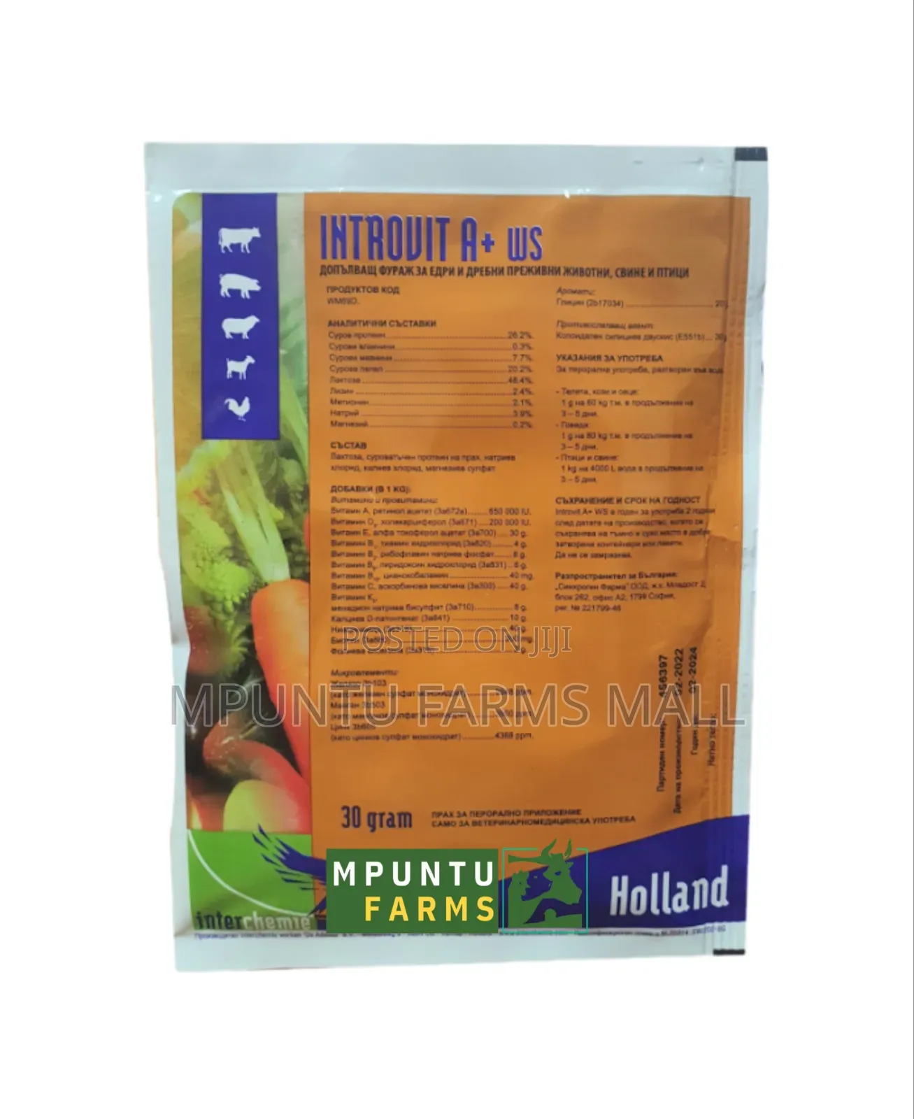 Introvit A+(Multivitamins)
