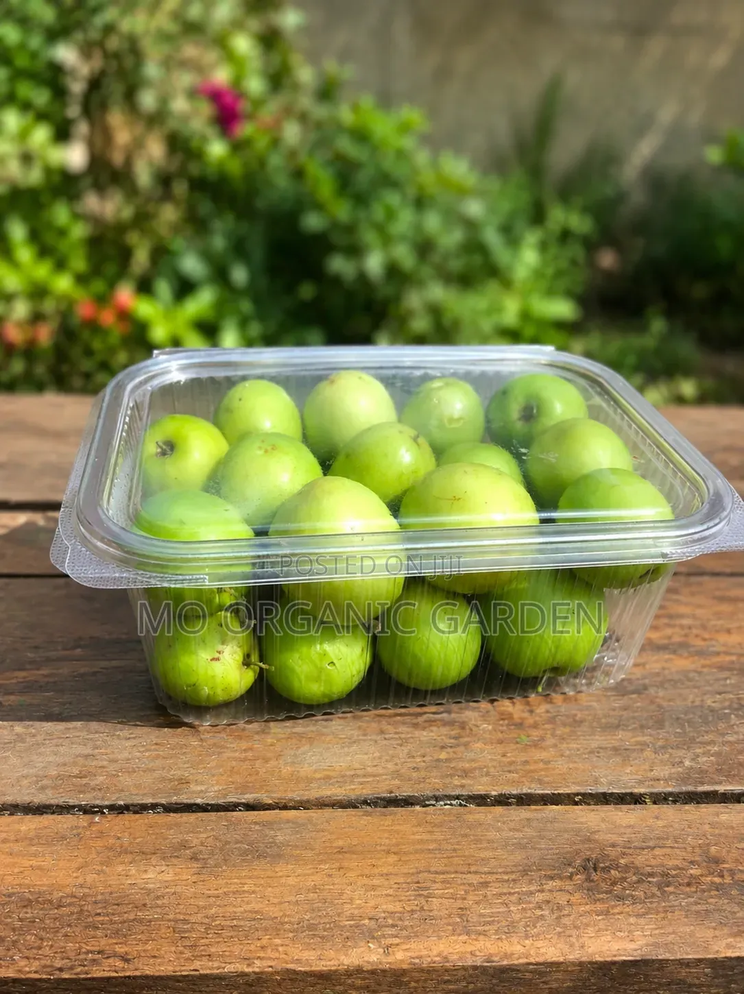  Fresh Thai Jujube Fruit Pack