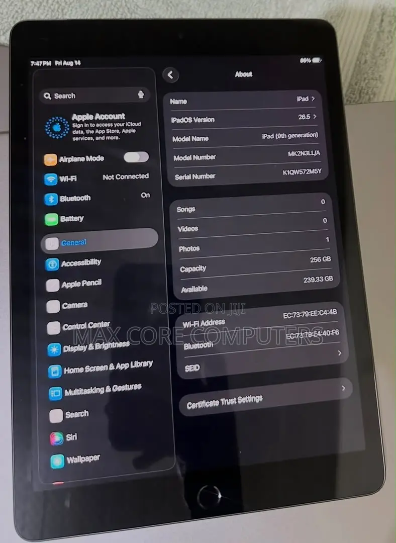 Apple iPad 10.2 (2021) 256 GB Gray