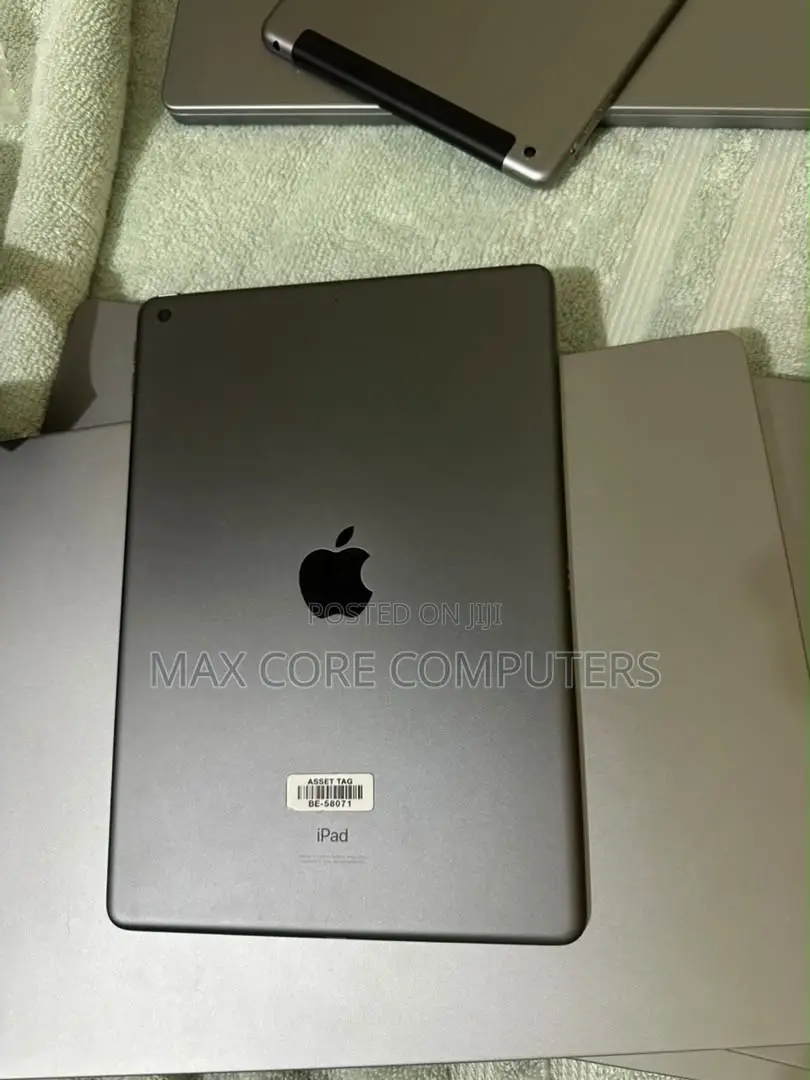 Apple iPad 10.2 (2021) 256 GB Gray