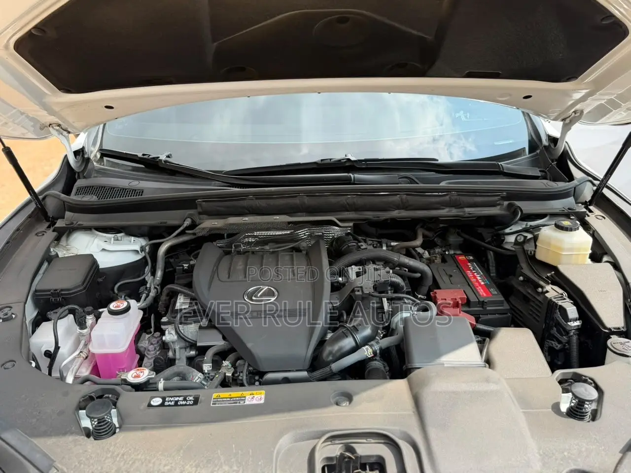 Lexus RX 350 F SPORT AWD 2024 White