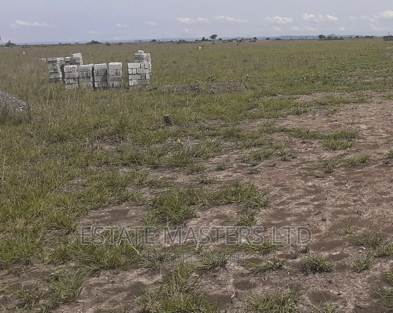 Exquisite Litigation Free Land
