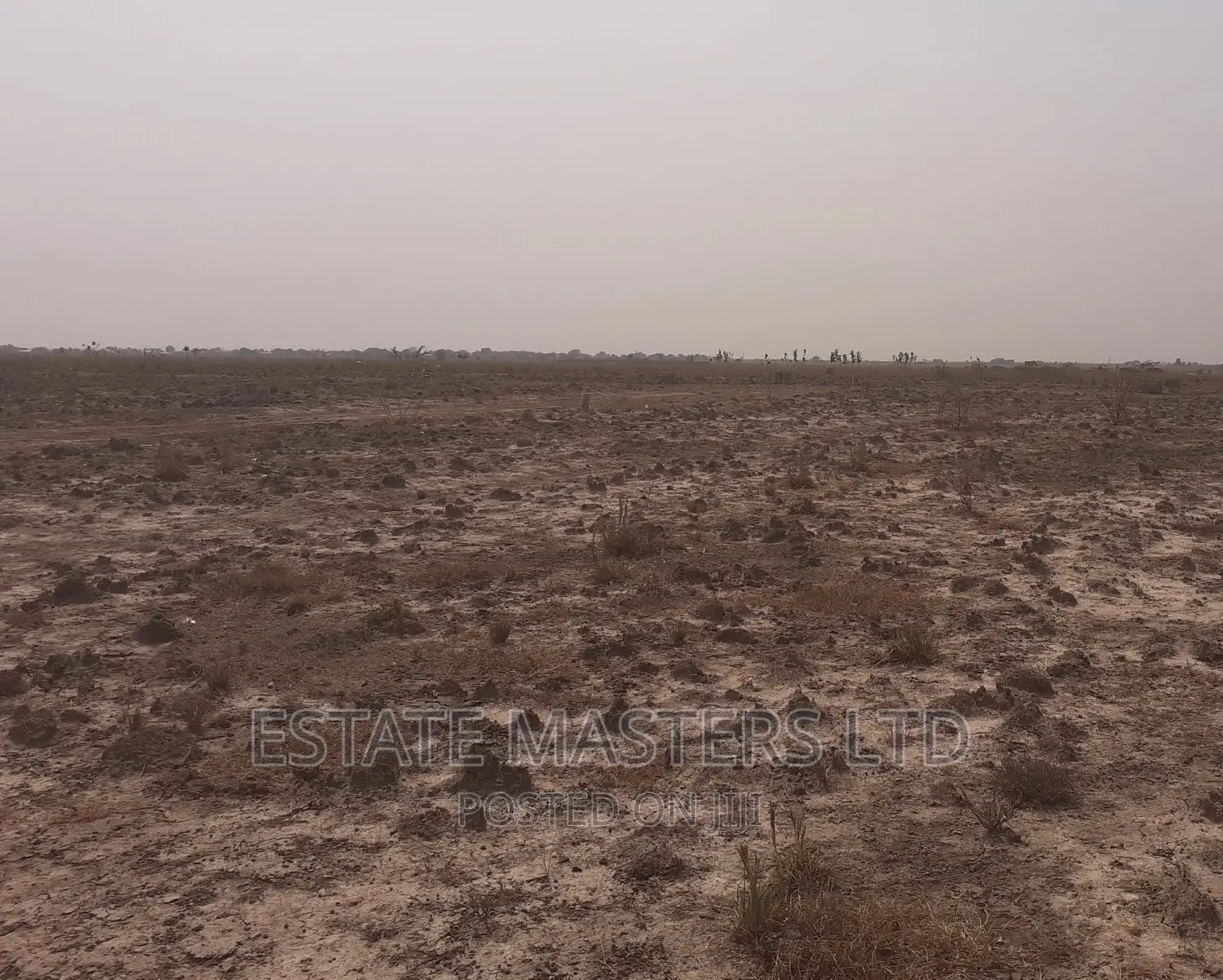 Exquisite Litigation Free Land