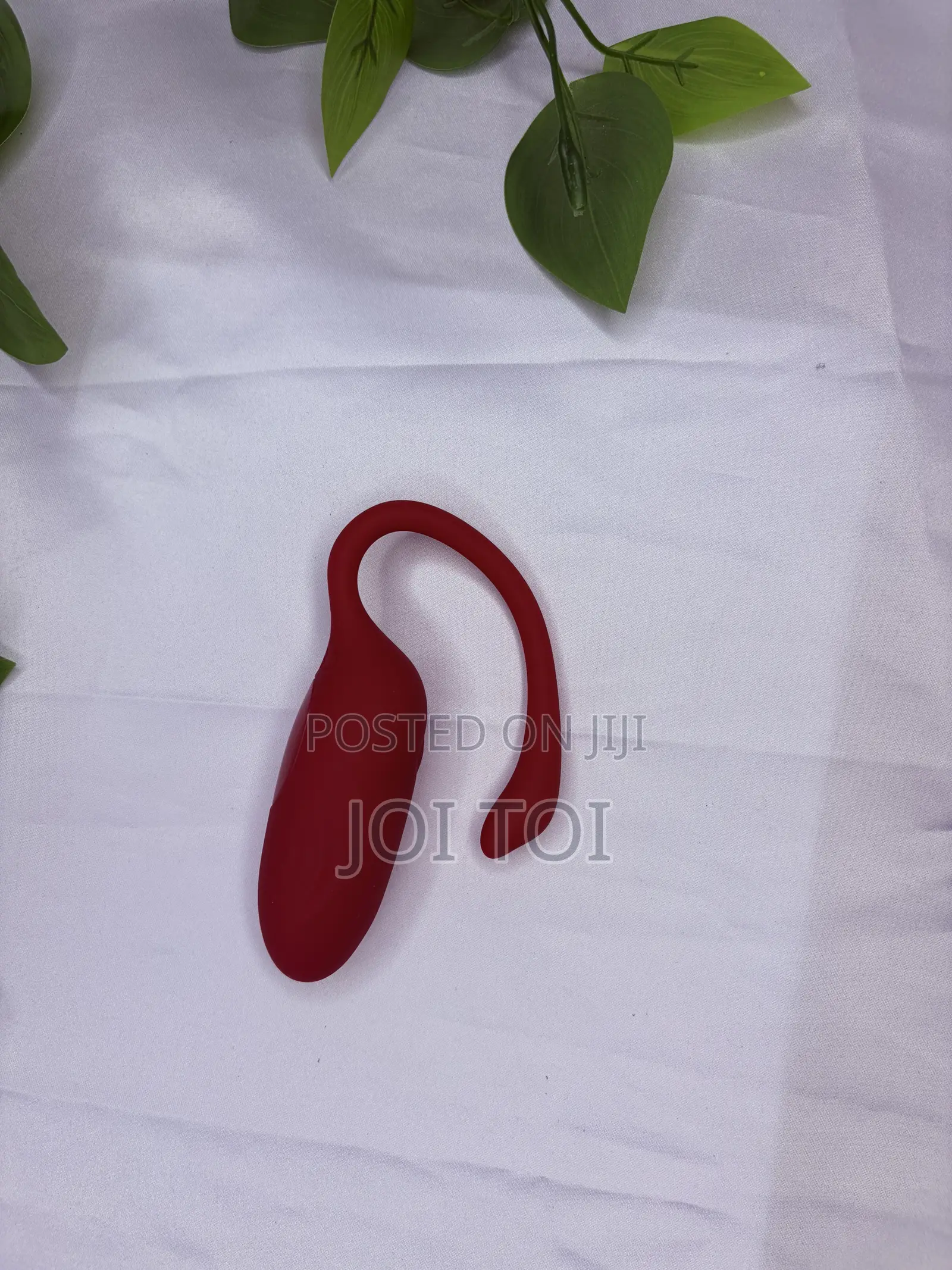 Flamingo App Control Panty Vibrator