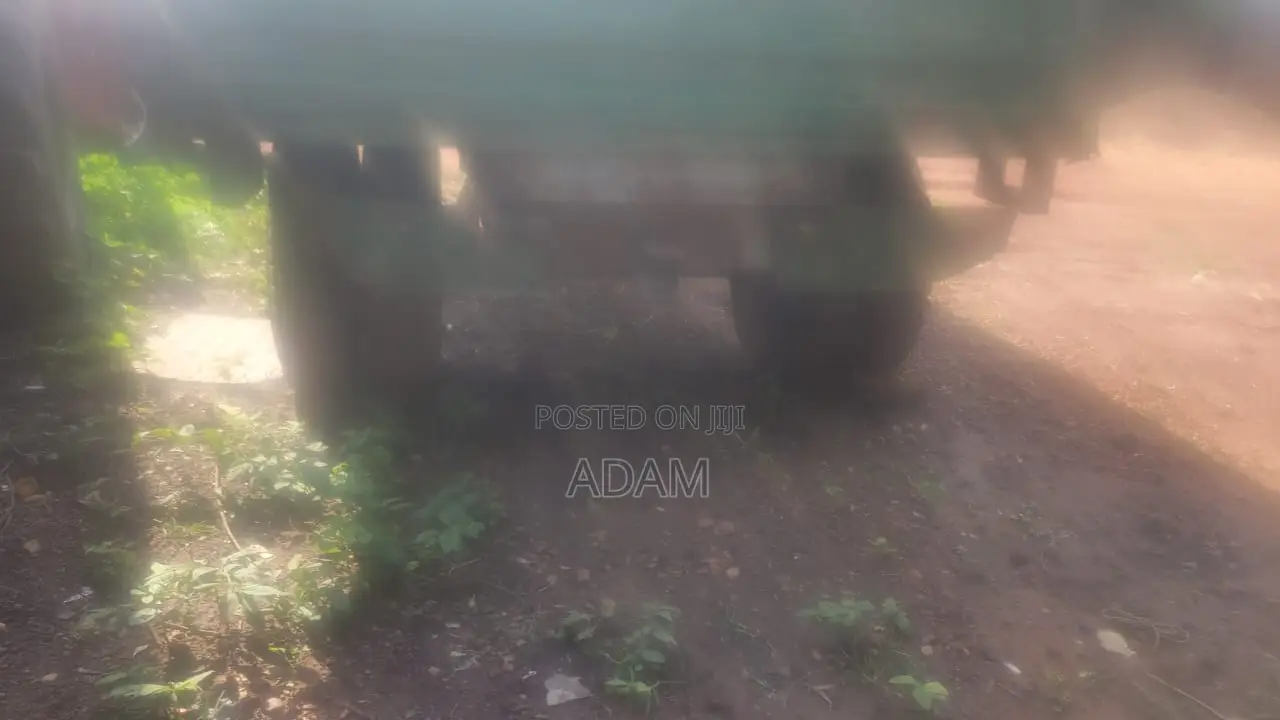 Hon Adam Sang