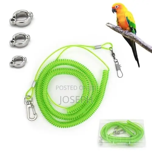 Bird Flying Leash/Rope