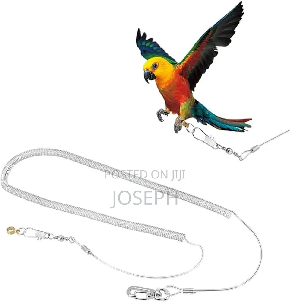 Bird Flying Leash/Rope