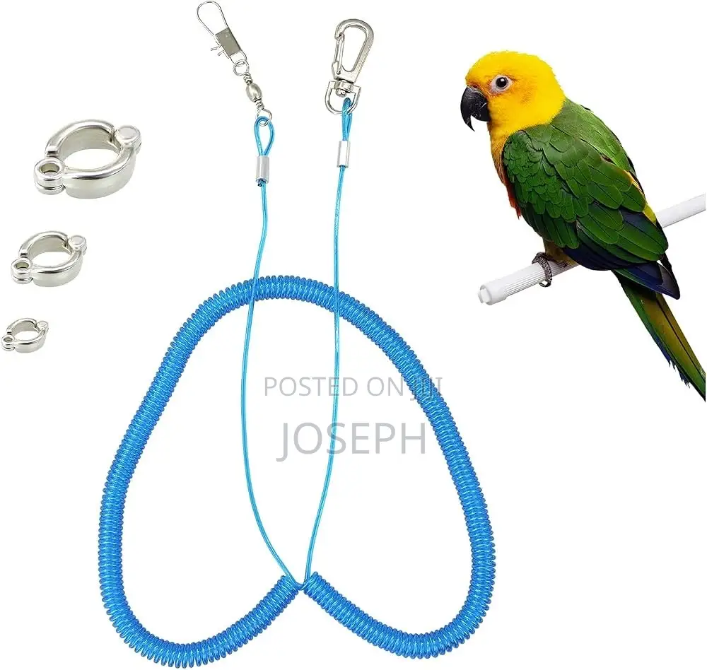 Bird Flying Leash/Rope