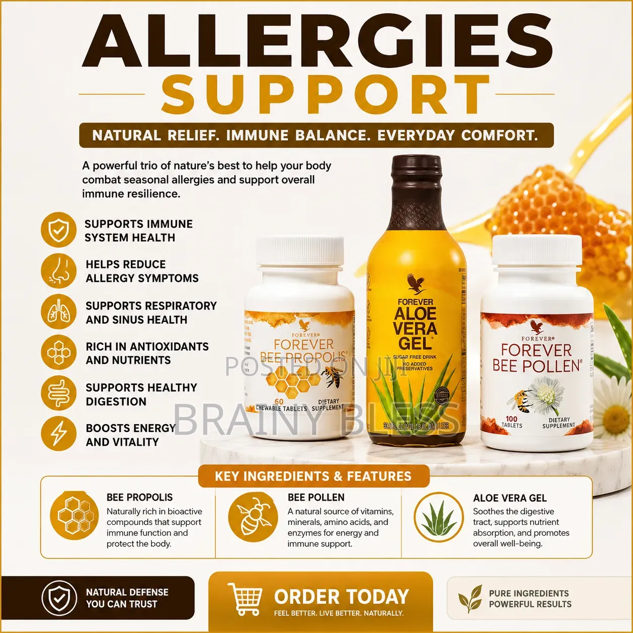 Allergies Support
