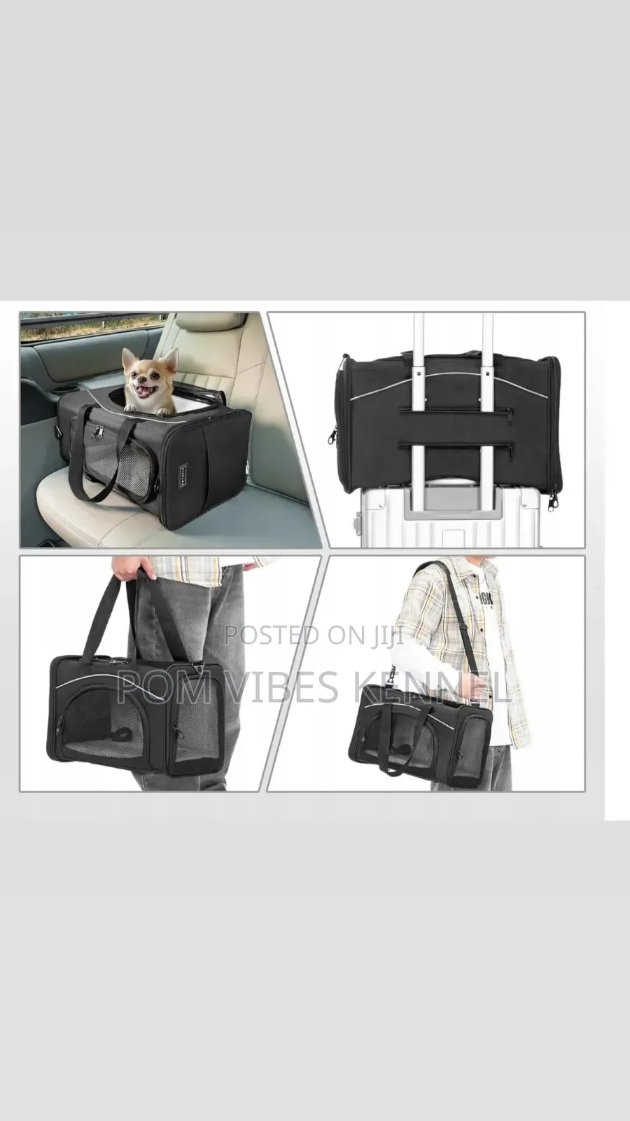 Luxurious Pet Carrier