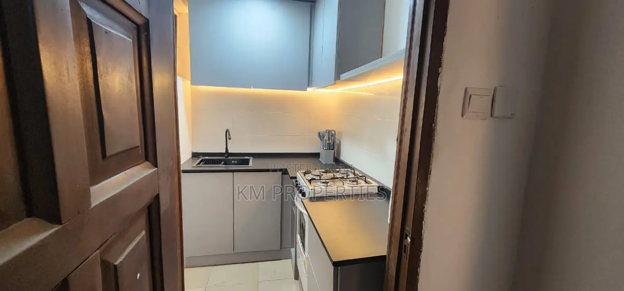 Furnished 1bdrm Apartment in Dzorwulu for rent