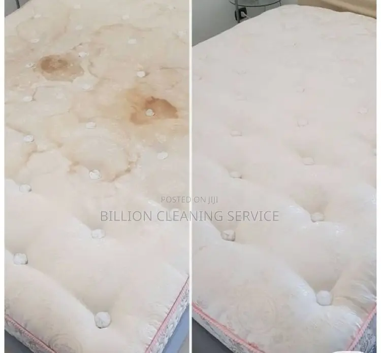 Sofa Cleaning Expert