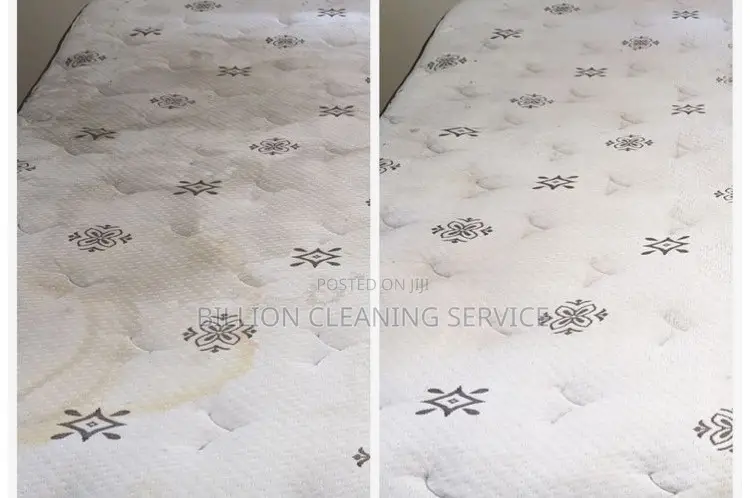 Sofa Cleaning Expert